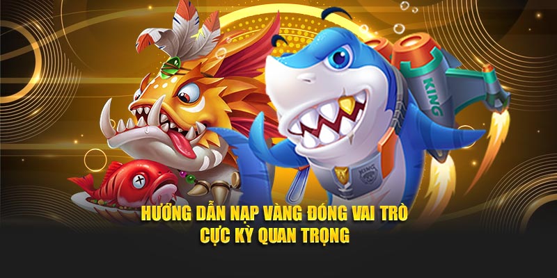 Hướng dẫn nạp vàng đóng vai trò cực kỳ quan trọng