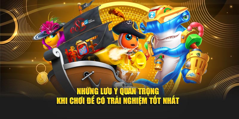 Những lưu ý quan trọng khi chơi để có trải nghiệm tốt nhất