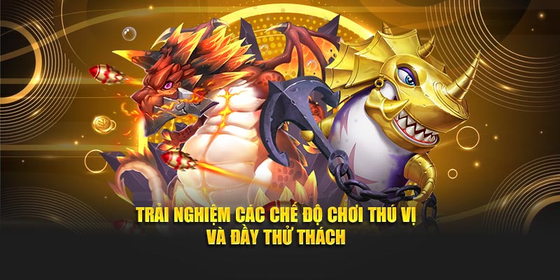 Trải nghiệm các chế độ chơi thú vị và đầy thử thách